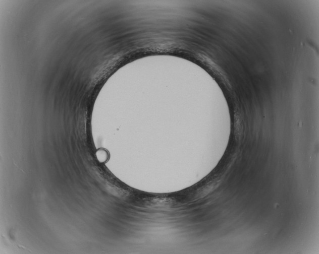 X0000103970493200809191402