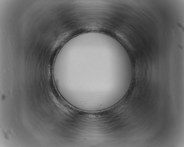 X0000103970494200809191402
