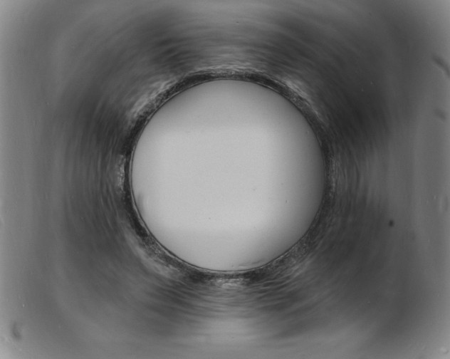X0000103970495200809191402