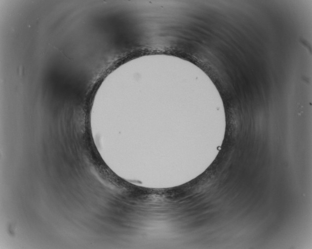 X0000103970496200809191402