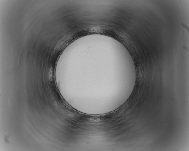 X0000103970502200809191402