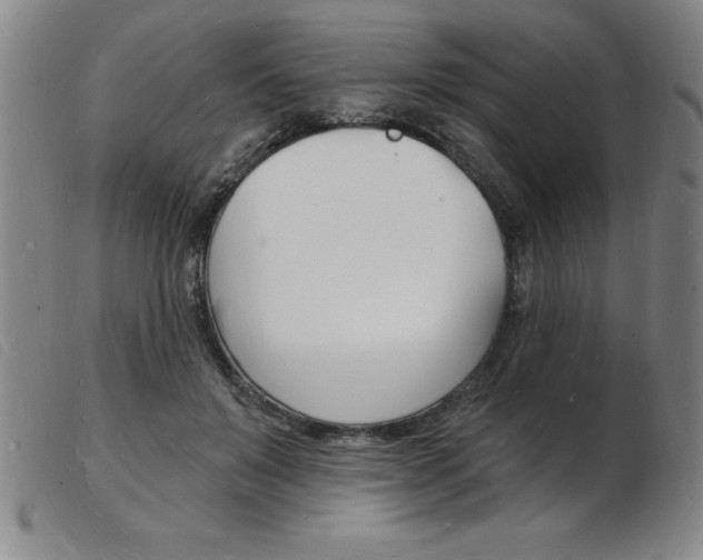 X0000103970503200809191402