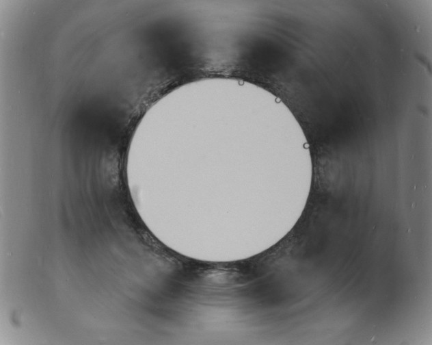 X0000103970504200809191402