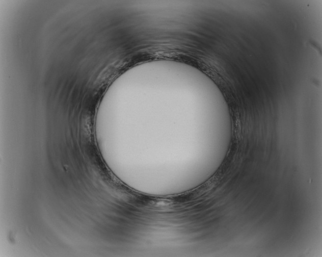 X0000103970506200809191402