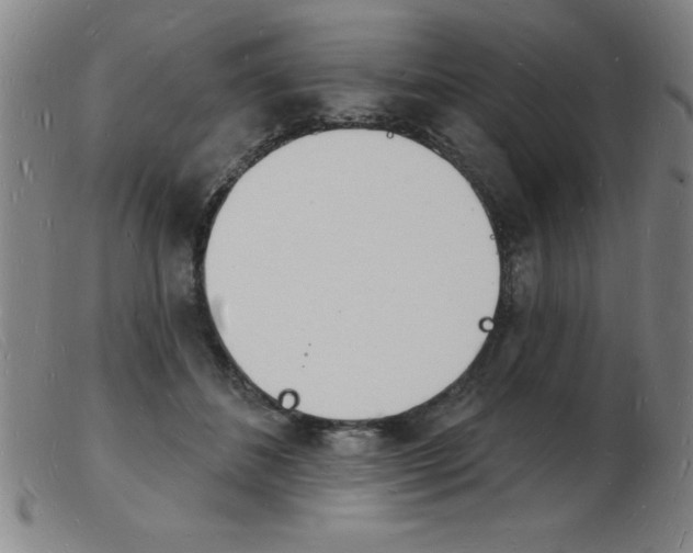 X0000103970508200809191402