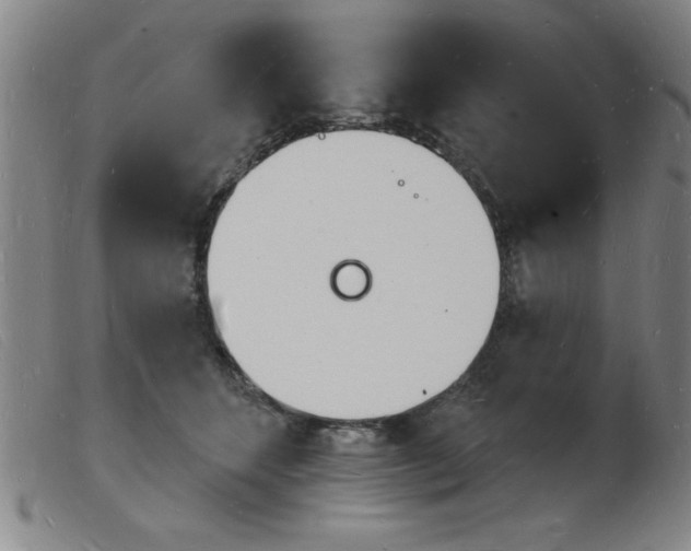 X0000103970512200809191402