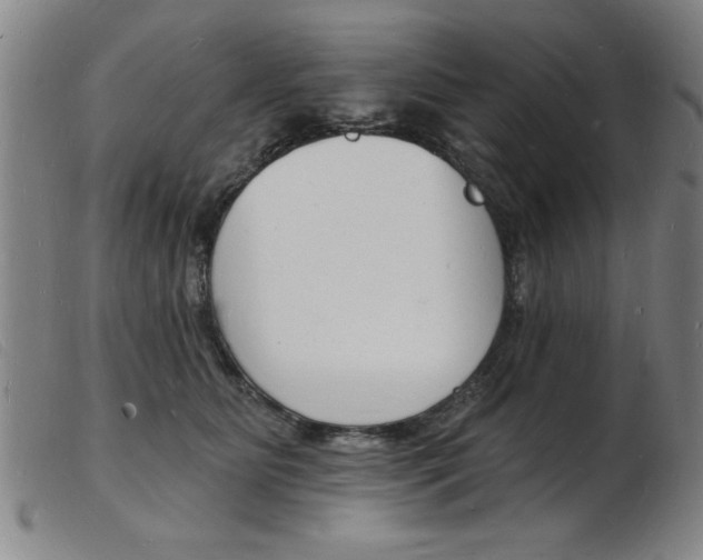 X0000103970515200809191402