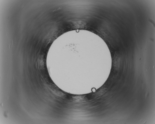 X0000103970516200809191402