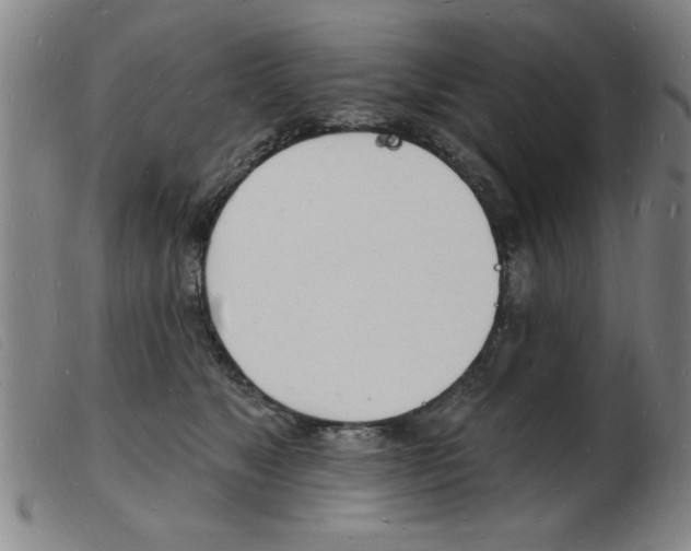 X0000103970517200809191402
