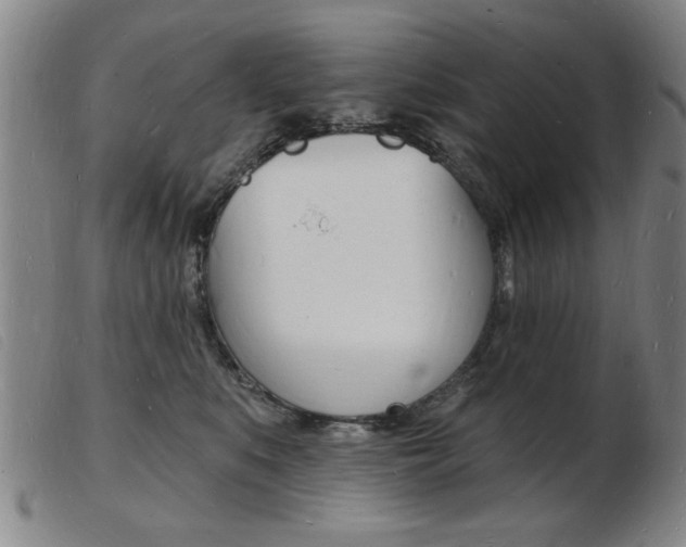 X0000103970519200809191402