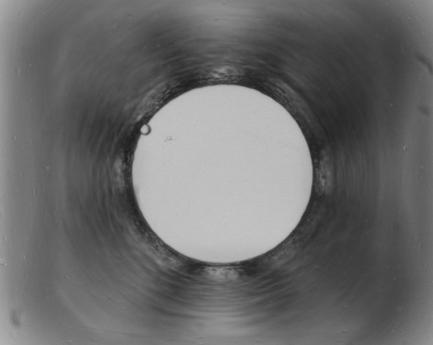 X0000103970520200809191402