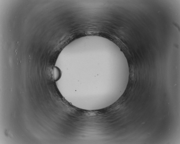 X0000103970523200809191402