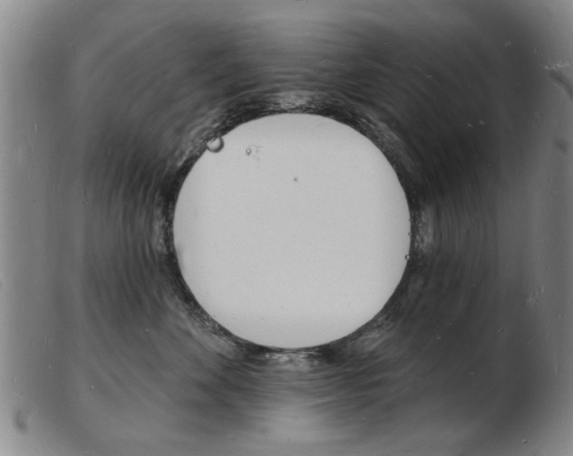 X0000103970524200809191402