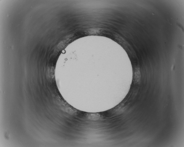 X0000103970525200809191402