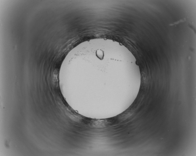 X0000103970527200809191402