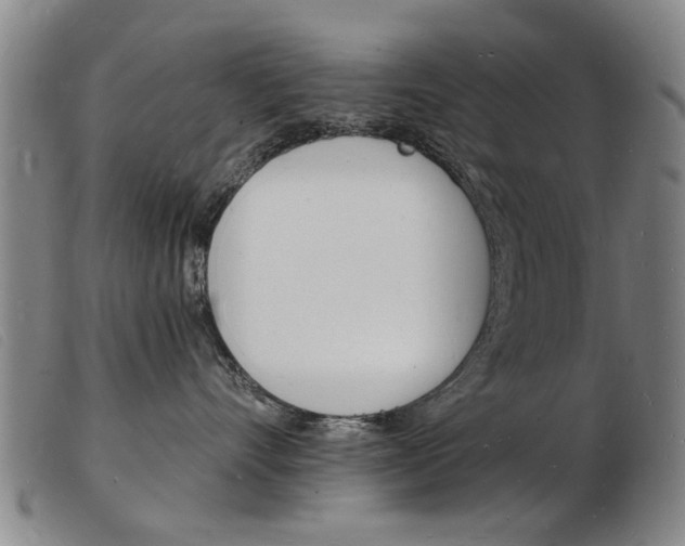 X0000103970528200809191402