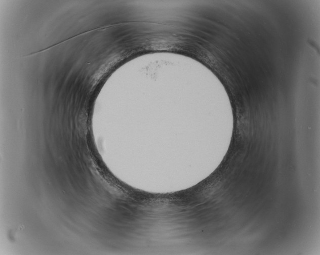 X0000103970530200809191401