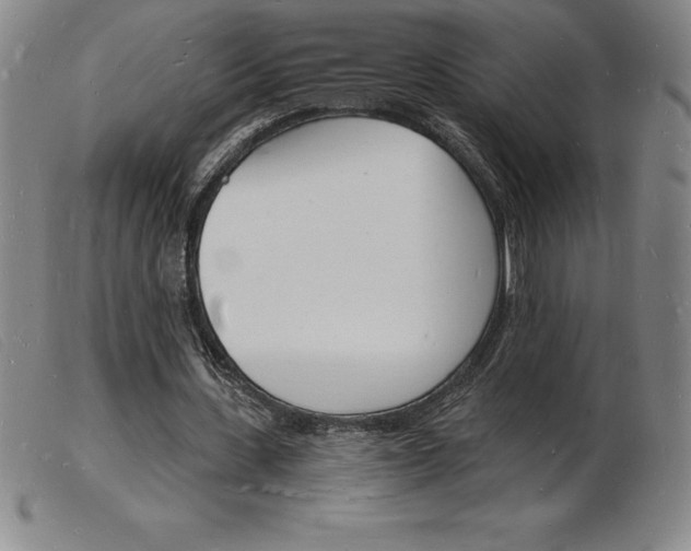 X0000103970531200809191401