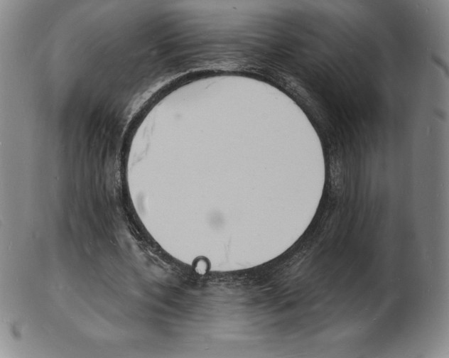 X0000103970532200809191401