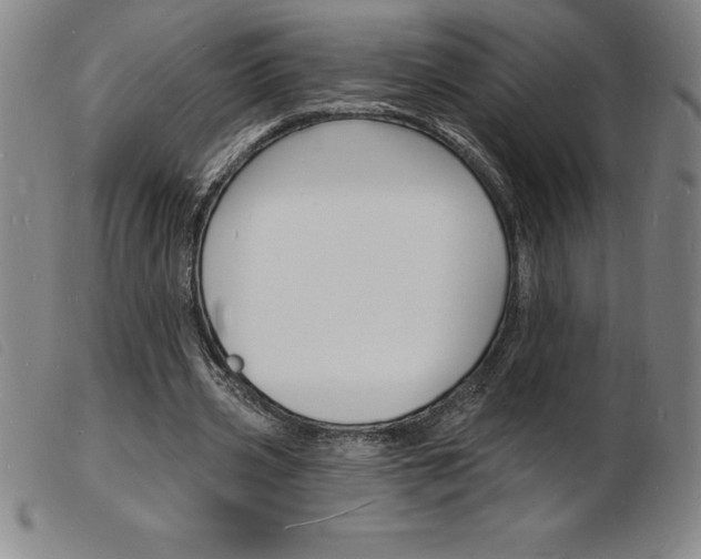 X0000103970533200809191401