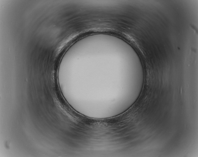 X0000103970535200809191401