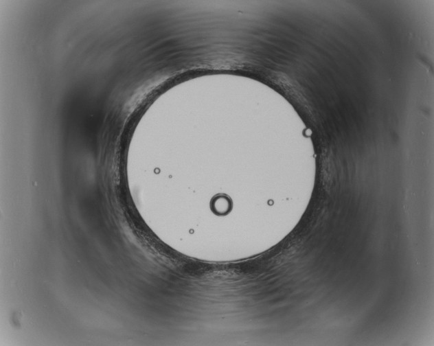 X0000103970536200809191401