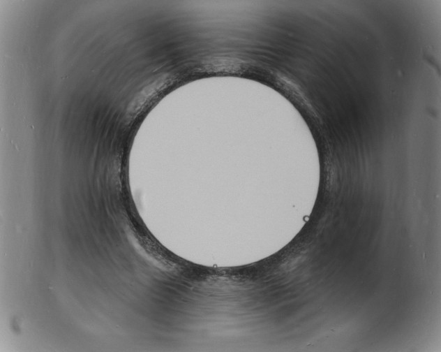 X0000103970538200809191401