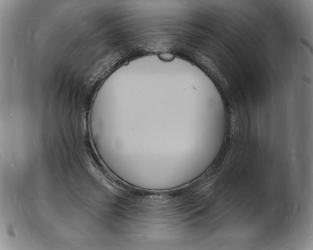X0000103970541200809191401