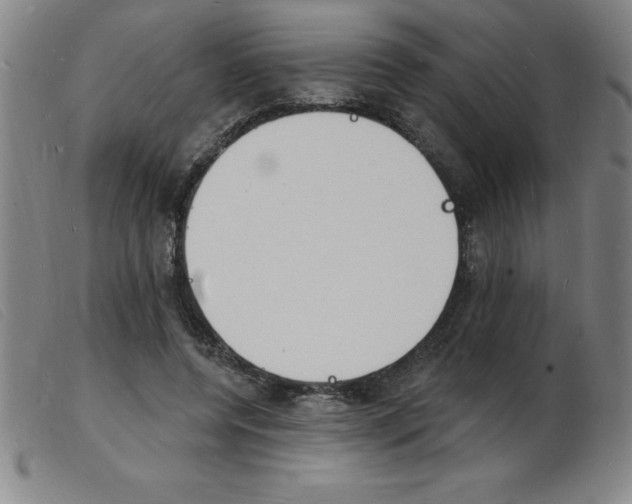 X0000103970544200809191401