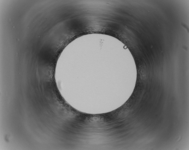 X0000103970546200809191401