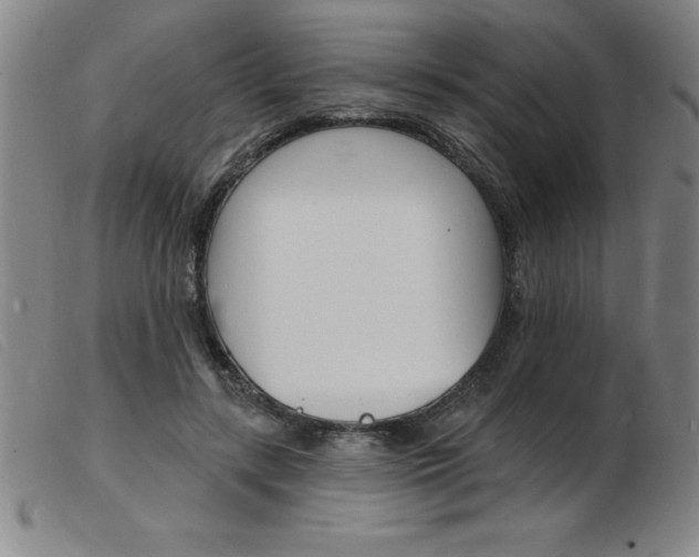 X0000103970547200809191401