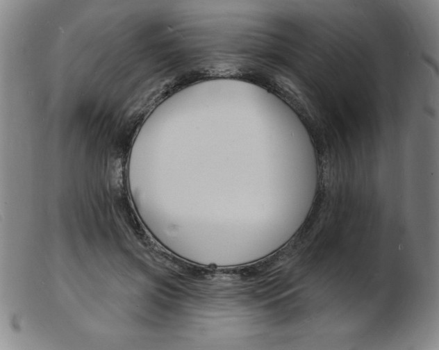 X0000103970549200809191401