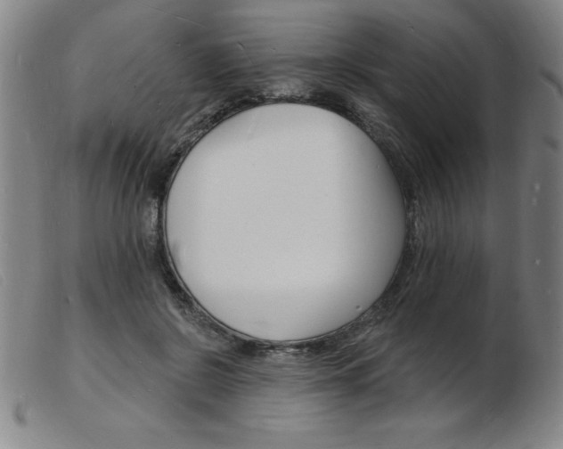 X0000103970550200809191401