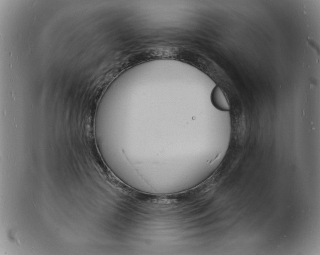 X0000103970553200809191401