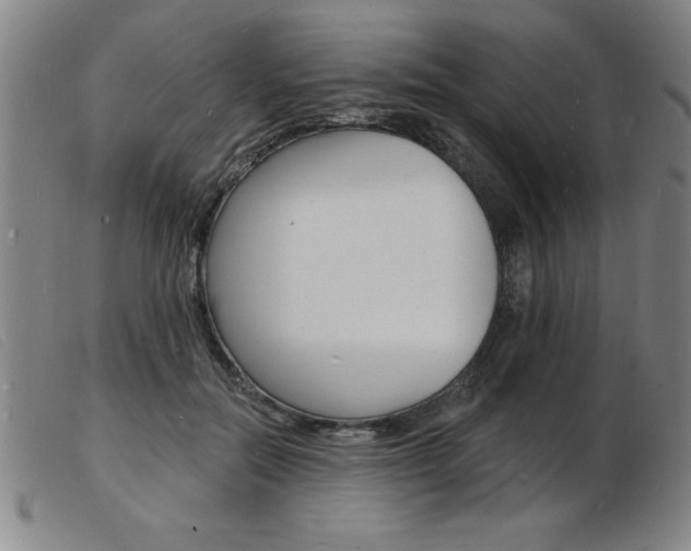 X0000103970554200809191401