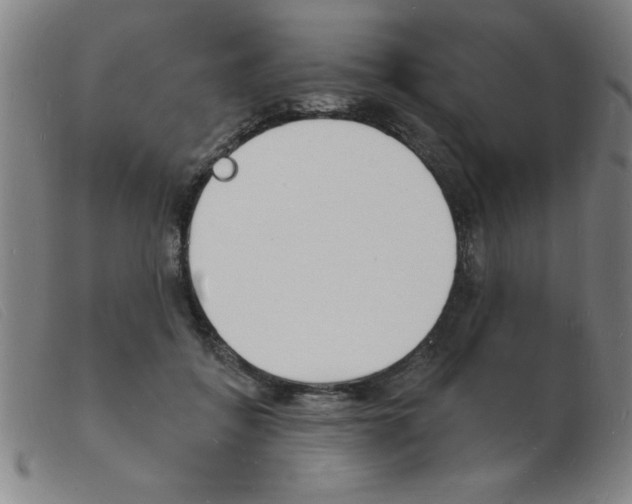 X0000103970556200809191401