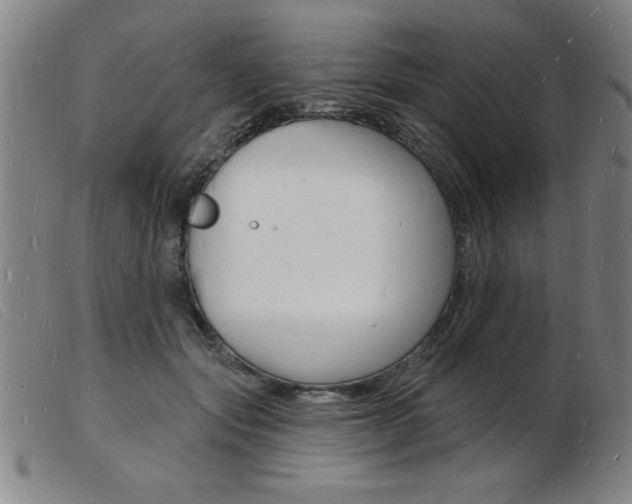 X0000103970557200809191401