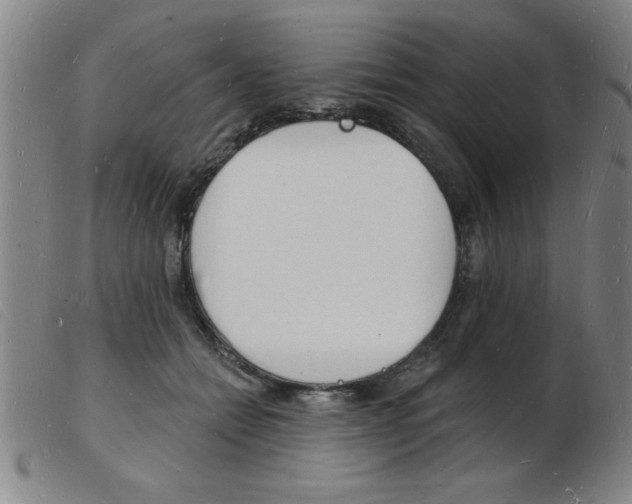 X0000103970558200809191401