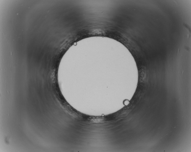 X0000103970560200809191401