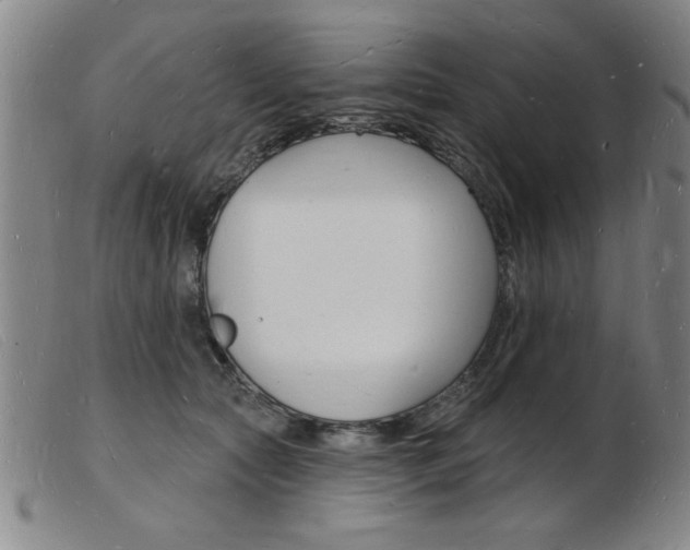 X0000103970561200809191401