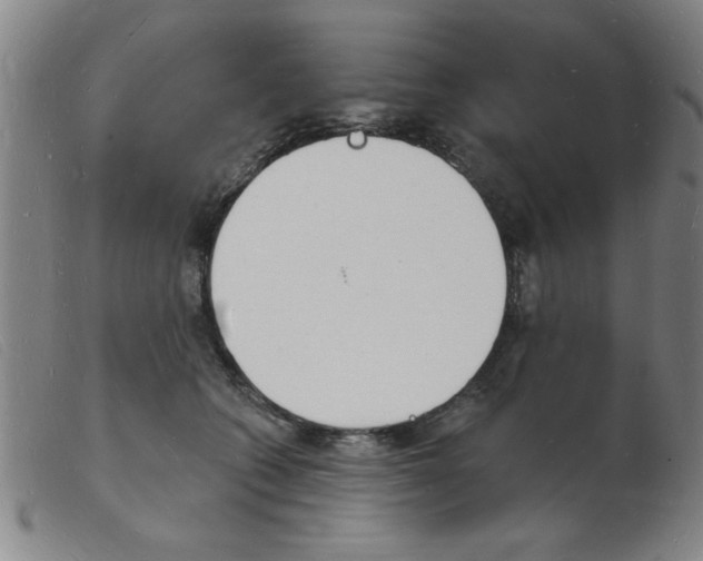 X0000103970562200809191401