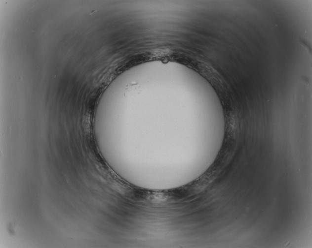 X0000103970565200809191401