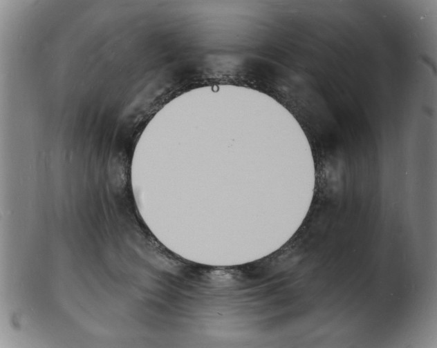X0000103970566200809191402