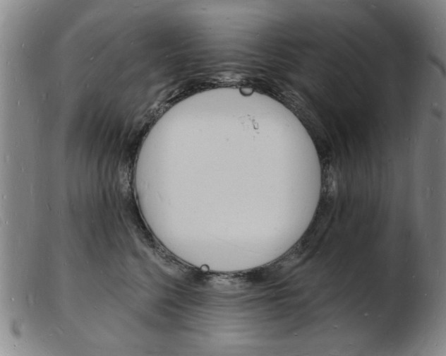 X0000103970568200809191402