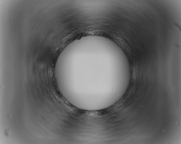 X0000103970569200809191402