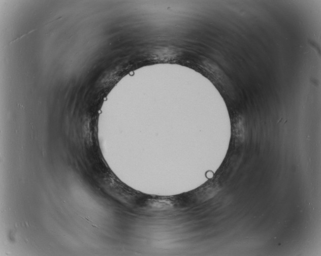 X0000103970572200809191402