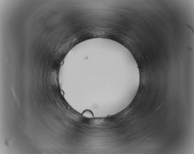 X0000103970575200809191402