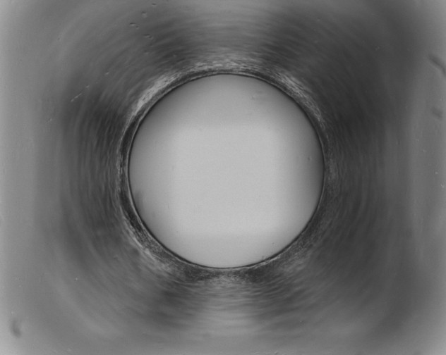 X0000103970578200809191401
