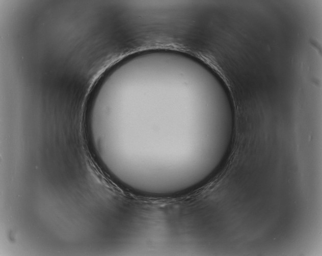 X0000103970579200809191401