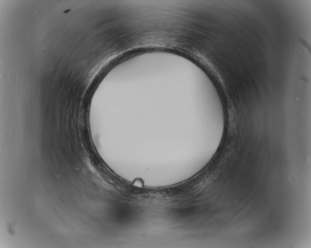 X0000103970580200809191401
